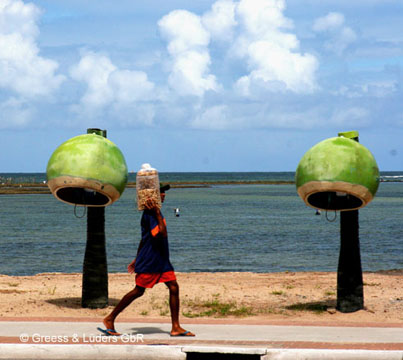 27_Coco_04_0970Maceio_B_A
