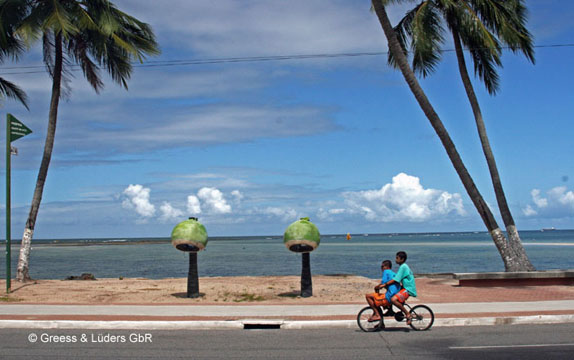 28_Coco_04_0962Maceio_BB