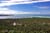 10_02_Coco_12_Maceio_BB