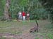 060_Guatemala_0305_b