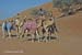 20_634_Oman_B